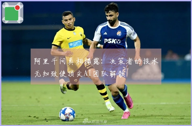 阿里千问真相揭露：决策者的技术无知致使顶尖AI团队解散